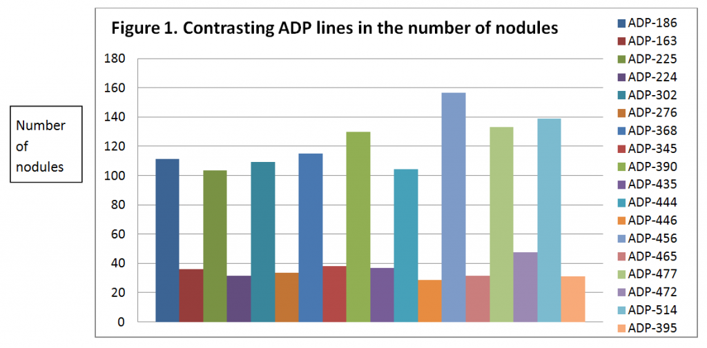 Figure 1. Contrasting ADP lines in the number of nodules.