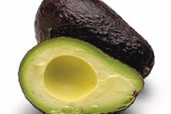 2. Aguacate (Persea americana)