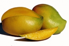 1. Mango (Mangifera indica)