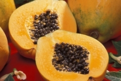 6. Papaya (Carica papaya)